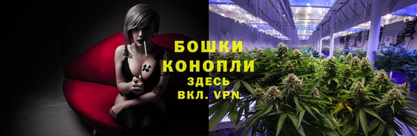 метадон Сафоново