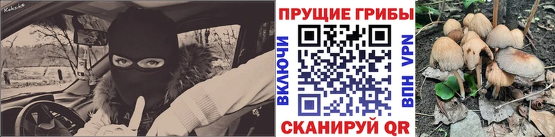 Галлюциногенные грибы Psilocybine cubensis  Купить  Костерёво 